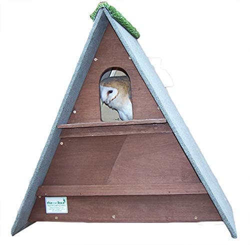 Image of barn owl nest box (Dark Brown)