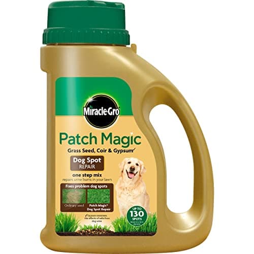 Image of Miracle-Gro Patch Magic Dog Spot Repair 1293 g
