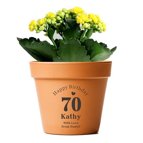 Image of Personalised Planter Plant Pot Large Terracotta Pots Flower Pot with Drainage Hole Anniversary Wedding Garden Gifts for Christmas Mum Women Succulent Cactus Planter Outdoor Garden Decor (Design 2)