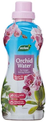 Image of Westland Orchid Water Ready To Use Orchid Plant Feed, 720 ml