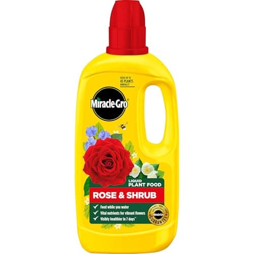 Image of Miracle-Gro Rose & Shrub Concentrated Plant Food, 800 ml