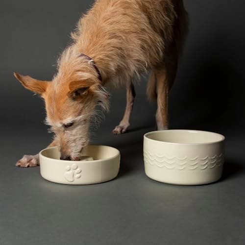 Image of Scruffs Icon Slow Feeder & Drink Bowl Set – Cream 20cm