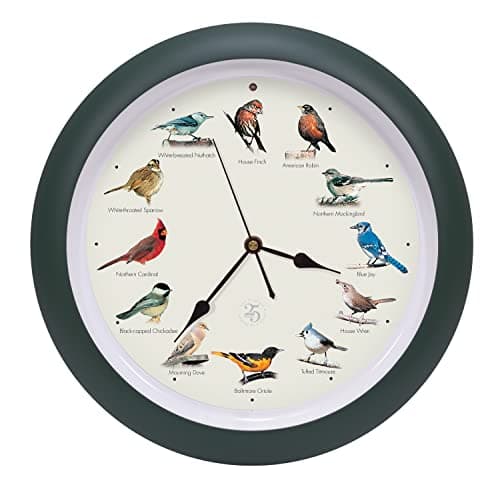 Image of Mark Feldstein & Associates The Original Singing Bird Clock 25th Anniversary Edition, As Seen On TV (13 Inch, Matte Green)
