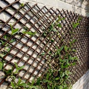 Image of Garden Mile Large Expanding Trellis - Heavy Duty Willow Wooden Garden Trellis for Climbing Plants, Decorative Plant Supports for Outdoor, Wooden Wall Panels for Fence, Patio & Privacy Screen 180x30cm