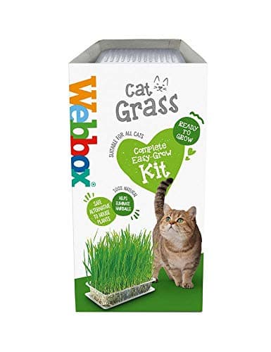 Image of Webbox Cat Grass Kit 120g