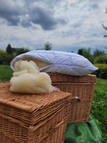 Image of ALPACA Pillows ZIPPED Cover Standard Filled Wool Pillows. NATURAL PRODUCT. Alpaca bed pillow (45_x_75_cm, 2)