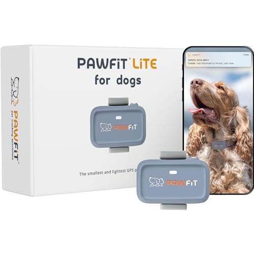 Image of Pawfit Lite for Dogs 4g GPS Tracker | Real Time Tracking | Activity Monitoring |Location History | Unlimited Range | Safety Collar Included | Lilac grey