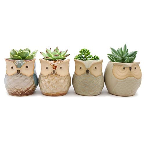 Image of Set of 4 Mini Ceramic Cartoon Owl Pattern Succulent Plant Pot Flower Pot Container Planter Cactus Plant Pot for Garden