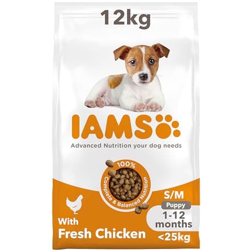 Image of IAMS Puppy Small Medium Dry Dog Food Chicken 12kg