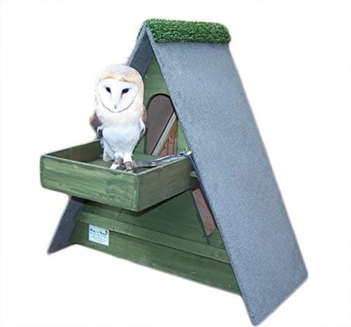 Image of Barn Owl Nest Box With Shelf (Forest Green)