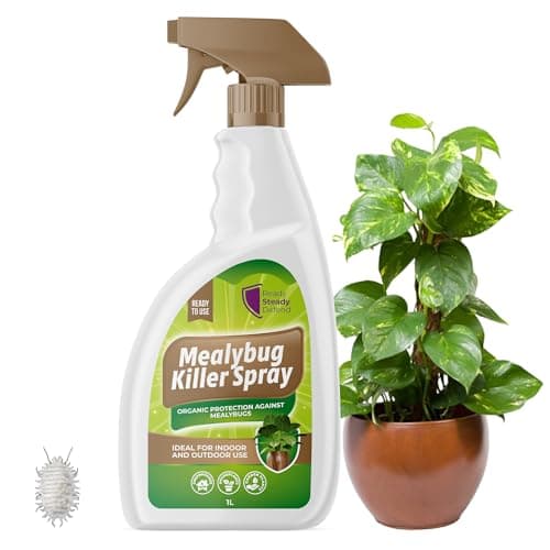 Image of Mealybug Killer Spray 1L - Bug Spray with Insecticidal Soap for Indoor Plants - Effective Plant Insecticide to Target Mealybugs - Easy-to-Use House Plants Bug Killer Treatment for Vibrant Growth