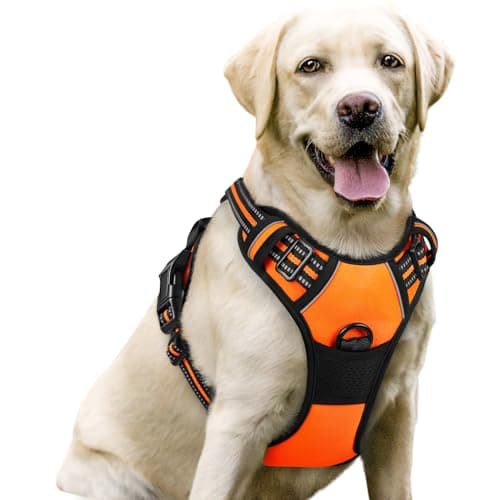 Image of rabbitgoo Dog Harness Large Dog No Pull Pet Harness with 2 Leash Clips, Adjustable Soft Padded Pet Vest Harness, Reflective No-Choke with Easy Control Handle for Training or Walking, Orange, L