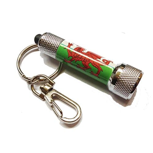 Image of Wales Welsh Flag LED torch Keyring [WK235]