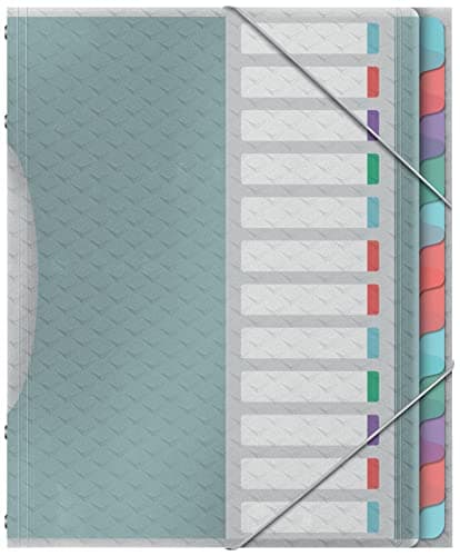 Image of Esselte File Divider Book With 12 Tabs, A4, Acid Free Paper/Document Organiser, Clear Plastic Pockets, Home/Office, Embossed Pattern, Colour'Breeze Range, Multi Colour,626256