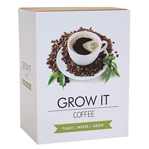 Image of Gift Republic GR200033 Coffee Grow It, 19.5 cm*3.5 cm*12.5 cm
