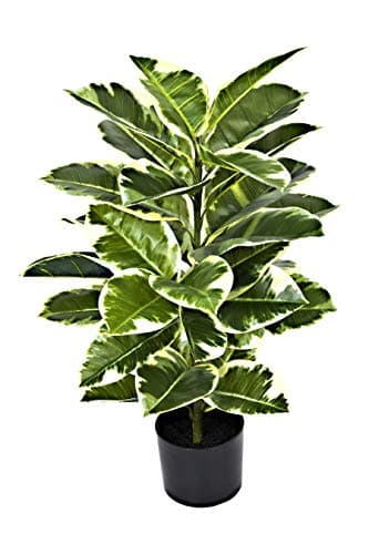 Image of GreenBrokers Artificial 98cm Real Touch Rubber Plant in Pot
