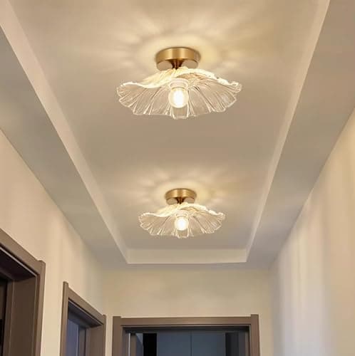 Image of Dellemade 2 Pack Chandelier, Flush Mount Ceiling Light, Clear Glass Shade Light Fixture, 1 Light Lighting Fixture for Bedroom,Dining Room,Kitchen, Hallway