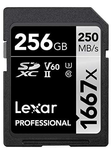 Image of Lexar Professional 1667x SD Card 256GB, SDXC UHS-II Memory Card, Up to 250MB/s Read, 120MB/s Write, Class 10, U3, V60 SD for Professional Photographer, Videographer, Enthusiast