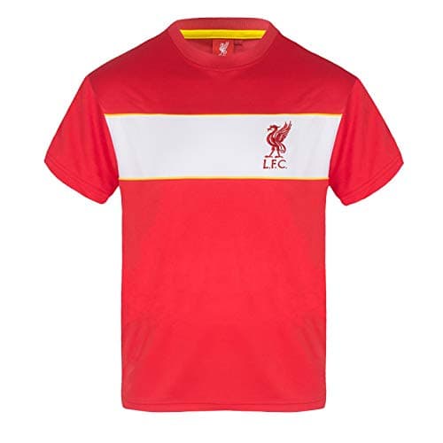 Image of Liverpool FC T-Shirt Boys Poly - Official Gift - Red White Stripe 6-7 Years