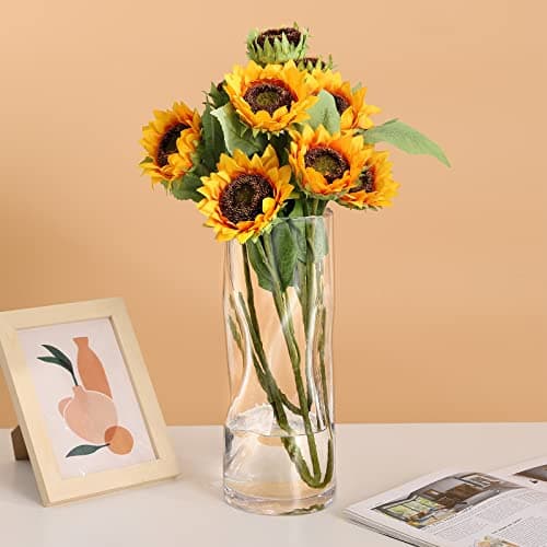 Image of Glass Vase 30cm Tall Flower Jug for Green Plant Large Vessel​ for Large Stemmed Flowers Handmade Jardinière for Home Décor (Crystal Clear)