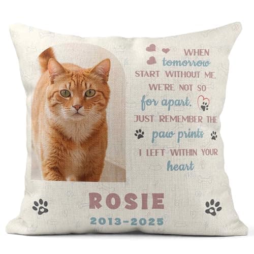 Image of Print Maniacs Personalised Pet Memorial Throw Pillow – Custom Photo & Name Dog Loss Sympathy Gift – Christmas Pet Remembrance Cushion – Dog & Cat Memorial Gift