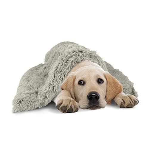 Image of The Dog’s Blanket Sound Sleep Donut Dog Blanket, Large Silver Grey, Calming, Anti-Anxiety Snuggler Blanket, Veterinary Approved