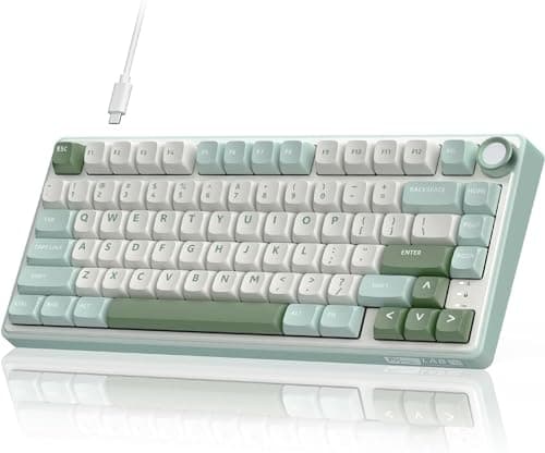 Image of RK ROYAL KLUDGE R75 Mechanical Keyboard Wired with Volumn Knob, 75% TKL Custom Gaming Keyboard Gasket Mount RGB Backlit with Software, MDA Profile, Hot Swappable Silver Switch, PBT Keycaps (US Layout)