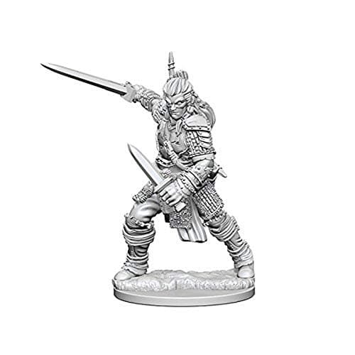 Image of Pathfinder Deep Cuts Unpainted Miniatures (W1) Human Male Fighter