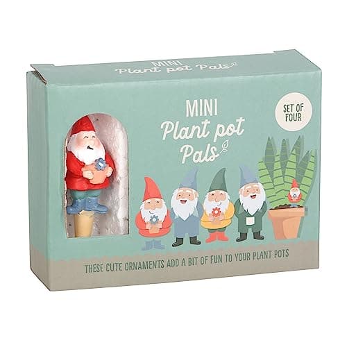 Image of Something Different Wholesale Mini Gnome Plant Pot Pals Set of 4 with Witch's Hat - Wicked Witch Chip and Dip Party Dish - Crisps Holder