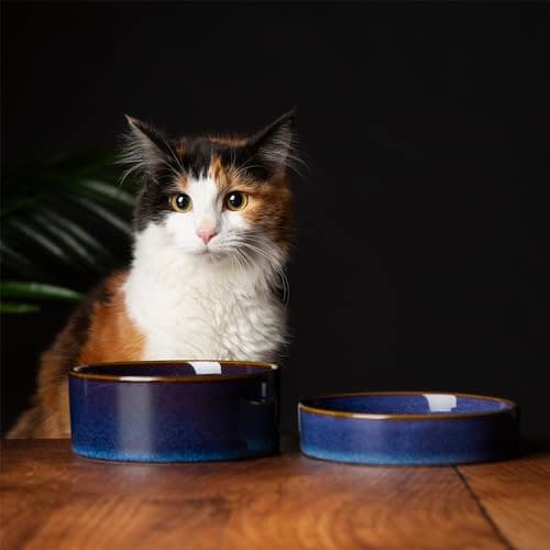 Image of Scruffs Ceramic Heavy Duty Reactive Glaze Cat Bowls - 2pc Set - Midnight Blue