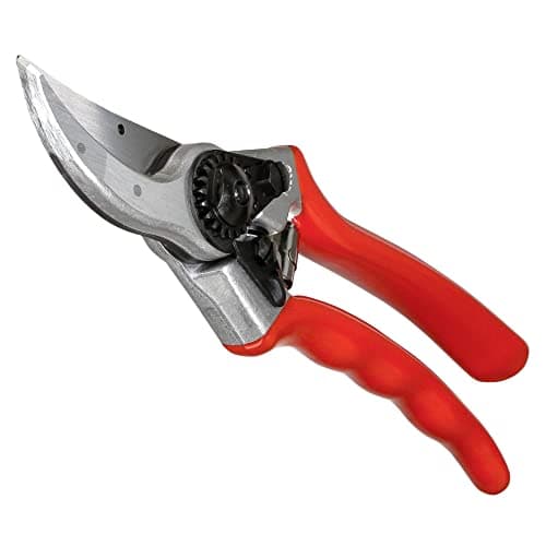 Image of Felco Secateurs, No.2