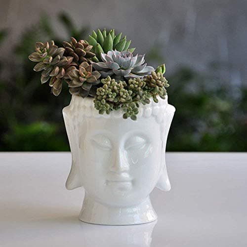 Image of Buddha Head Planter Ceramic Flower Pot Planters for Home Garden Ofiice Desk Decor