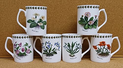 Image of Botanic Flowers Mugs Set of 6 Fine Bone China Topaz 9.5oz 275 ml Cups Hand Decorated UK