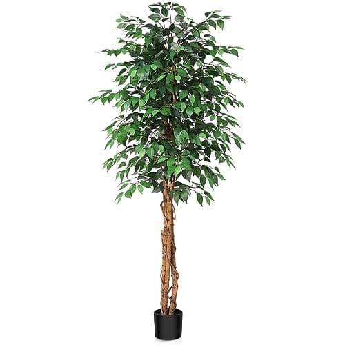 Image of SOGUYI 180cm Artificial Ficus Tree with Natural Wood Trunk, Silk Fake Ficus Tree in Plastic Nursery Pot, Faux Plant for Office Home, Indoor Outdoor Decor, 1 Pack
