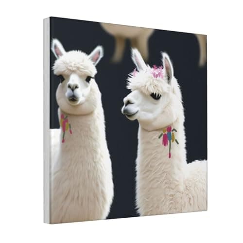 Image of YKLJG Alpaca Llama Printed Canvas Wall Art 30x30 CM - Square Decorative Artworks Pictures Print Painting Framed Artwork for Bedroom, Living Room & Office