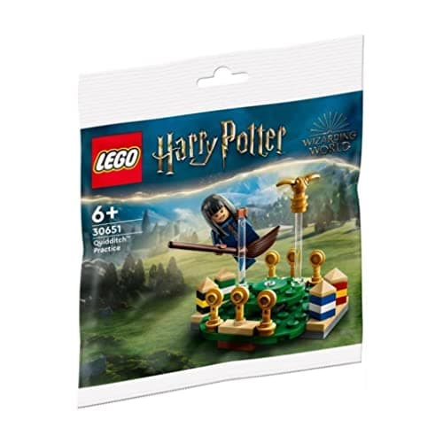 Image of LEGO Harry Potter 30651 Quidditch Training Polybag (55 Pieces)