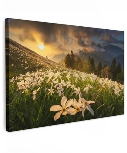Image of MuchoWow© Canvas Wall Art 24"x16" / 60x40 cm Decor Paintings Prints framed on Canvas Decorations Wallart Field of flowers - Hills - Sunset - Mountain - Nature - White