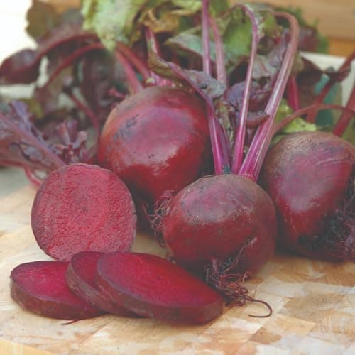 Image of Beetroot Boltardy RHS AGM Award Winning Sweet Flavour Tender Flesh Bolt Resistant Easy to Grow Garden Favourite for Early Sowing 1x Seed Packet by Thompson and Morgan