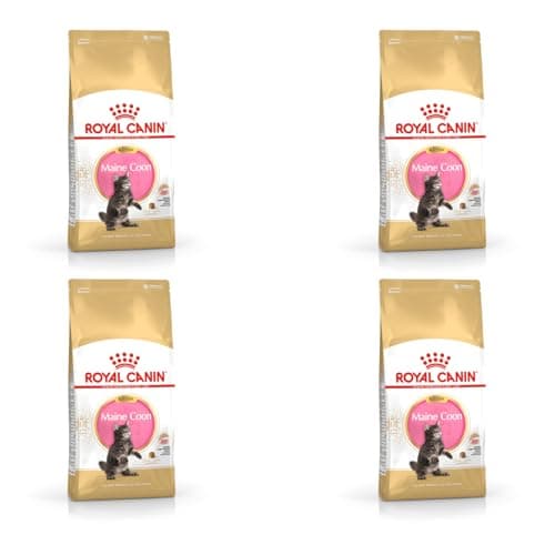 Image of Royal Canin Maine Coon Kitten Dry Cat Food 4 x 400g
