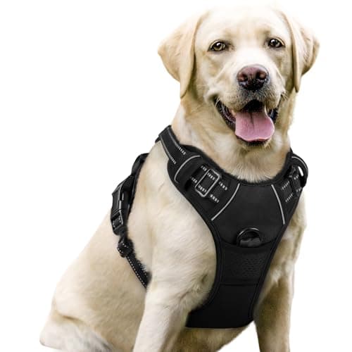 Image of rabbitgoo Dog Harness Large Dog No Pull Pet Harness with 2 Leash Clips, Adjustable Soft Padded Pet Vest, Reflective No-Choke with Easy Control Handle for Training or Walking, Black, L