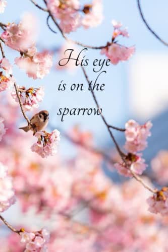 Image of Eye is on the Sparrow Prayer Journal: Prayer Journal for Women of God