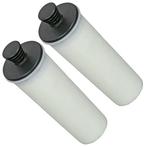 Image of Spares2go Descaler Filter Cartridge fits Karcher SC3 Steam Cleaner (Pack of 2)