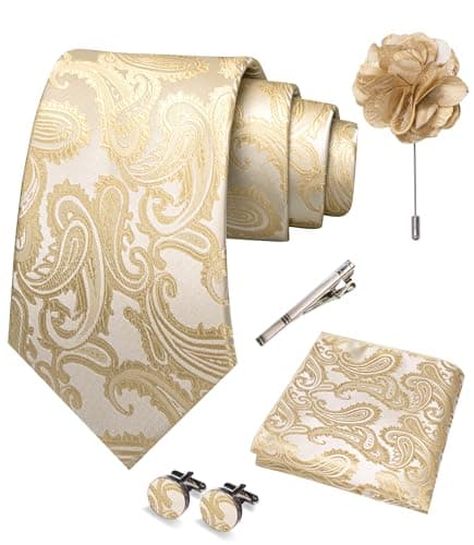 Image of RBOCOTT Champagne Paisley Tie Necktie and Pocket square Cufflinks Lapel Pin Tie Clip Sets for Men 5PCS(13)