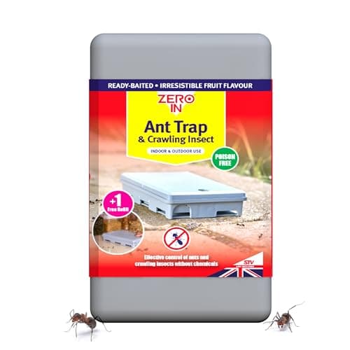 Image of Zero In® Ant & Crawling Insect Trap, Non-Toxic, Weatherproof & Refillable Pest Control Solution for Indoor & Outdoor Use