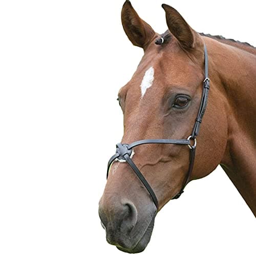 Image of Shires Blenheim Mexican Noseband Cob Black