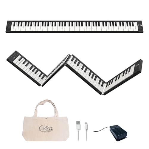 Image of Blackstar BA215011 Carry-on FP-88 Touch 88 Key Touch Sensitive Black Portable Folding Digital Piano by USB MIDI Controller with Rechargeable Battery