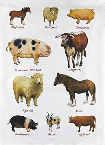 Image of Half a Donkey Rare Breeds of Farm Animals Large Cotton Tea Towel