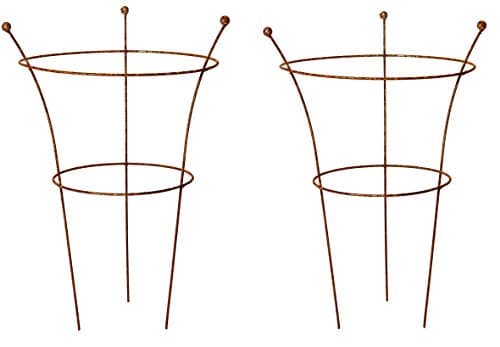 Image of RUDDINGS WOOD Set of 2 x Natural Rust Metal 3 Leg Medium Herbaceous Peony Plants Support Rings (64cm high x 42cm diameter) Garden Rusted Flower Plant Grow Through Cage Frames