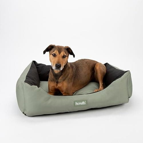 Image of Scruffs Expedition Waterproof Travel Dog Box Bed (M)