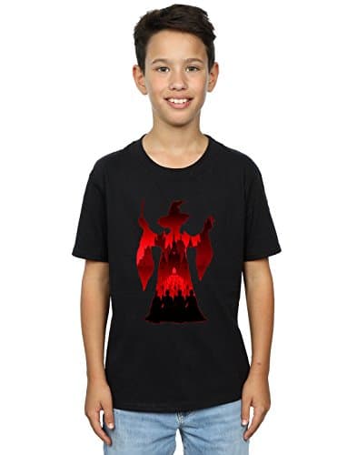 Image of Harry Potter Boys Minerva McGonagall Silhouette T-Shirt Black 5-6 Years